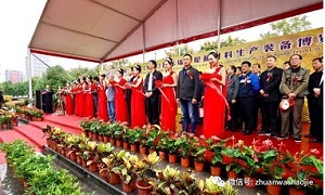 20181108322135.jpg 20181108074153738.jpg